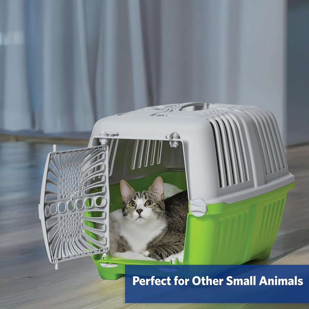 Green carrier interior ventilation for small pets